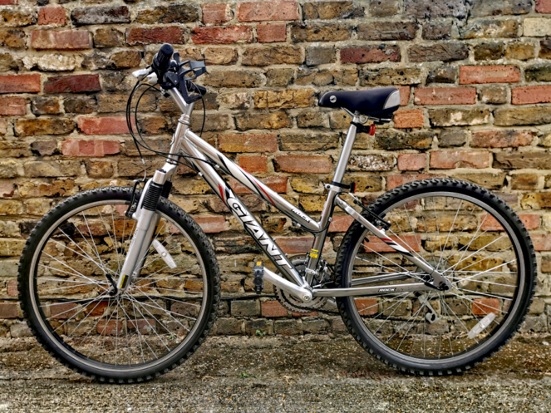 giant rock ladies mountain bike
